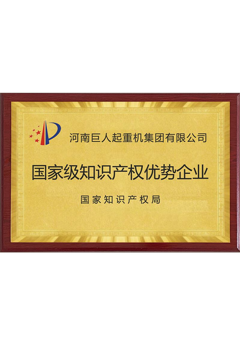 国家级知识产权优势企业
