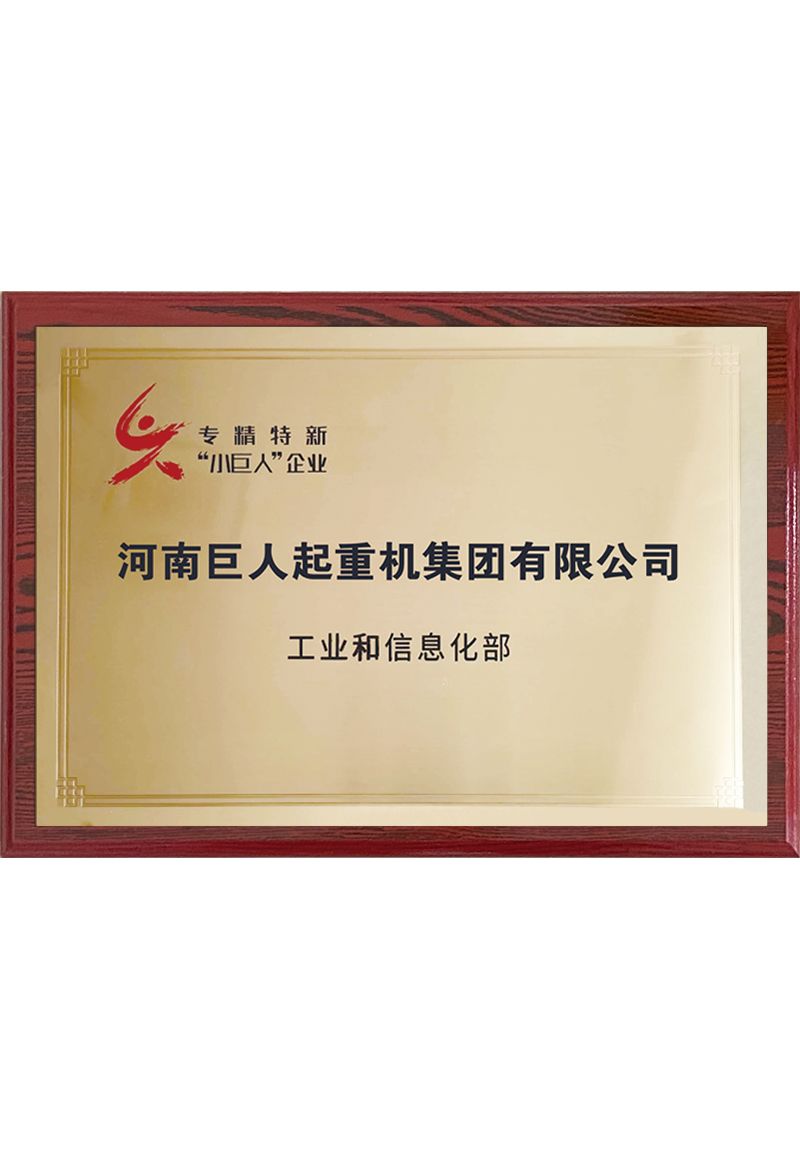 国家级专精特新小巨人企业